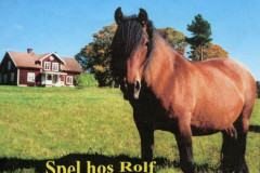 19950101-Spel-med-Rolf